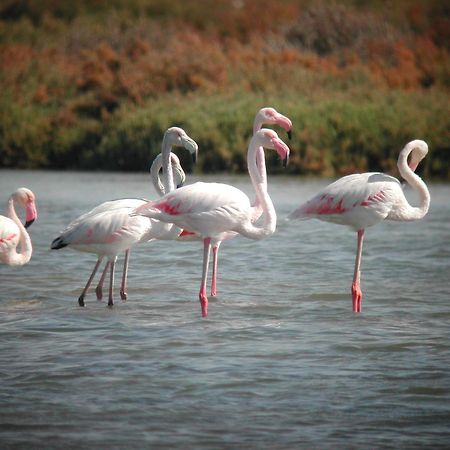 Alojamiento Rural Coto De La Isleta エル・プエルト・デ・サンタ・マリア エクステリア 写真