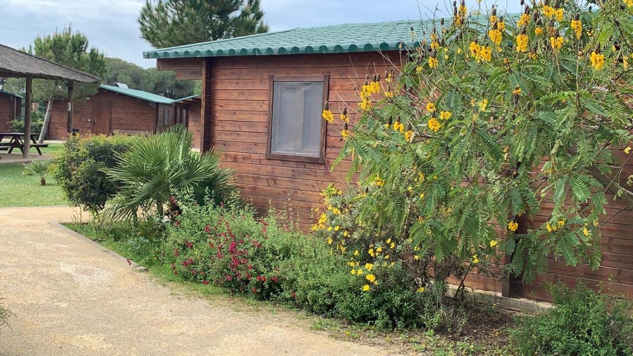 Alojamiento Rural Coto De La Isleta エル・プエルト・デ・サンタ・マリア エクステリア 写真